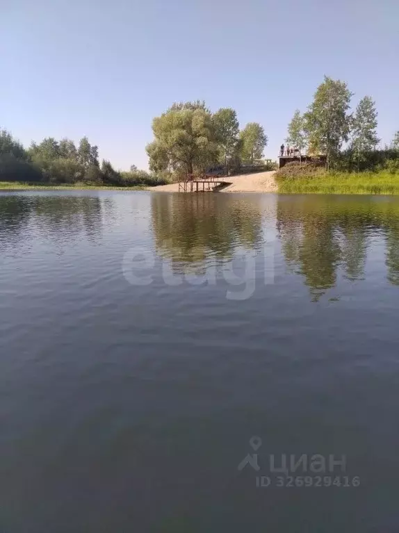 Участок в Новосибирская область, Колыванский район, Сибирская Волость ... - Фото 1