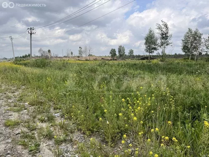 Участок в Тюмень, Калининский округ (10 м) - Фото 0