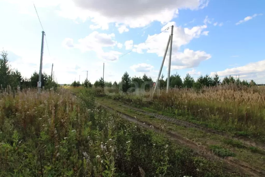 Участок в Тюменская область, Тюменский муниципальный округ, д. Елань, ... - Фото 1