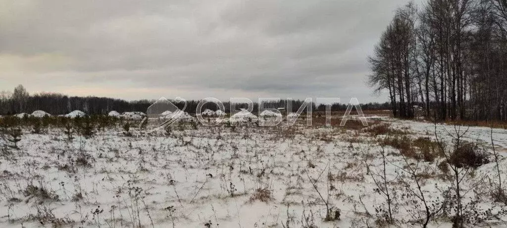 Участок в Тюменская область, Нижнетавдинский район, Царицыно СНТ  (6.6 ... - Фото 1