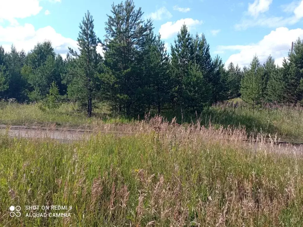 Участок в Свердловская область, Белоярский городской округ, д. ... - Фото 1