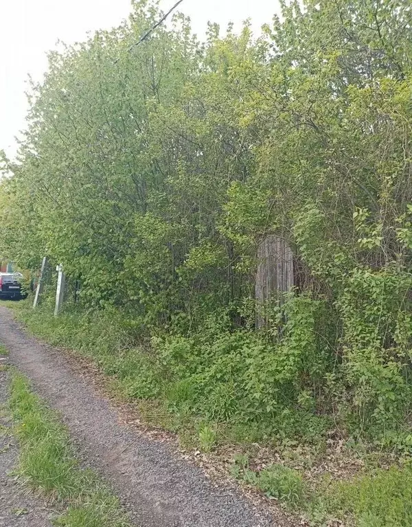 Участок в Московская область, Ленинский городской округ, Мисайлово ... - Фото 2