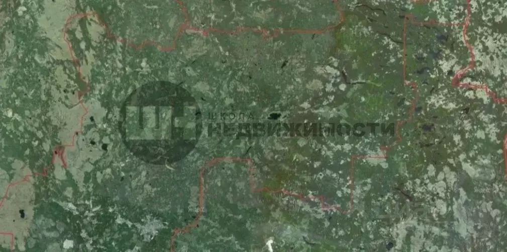 Участок в Ленинградская область, Тихвинский район, Пашозерское с/пос, ... - Фото 1