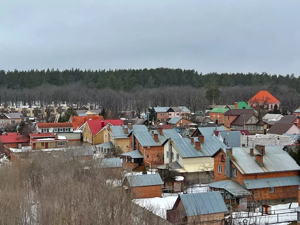 2-к кв. Самарская область, Тольятти Автозаводское ш., 39 (54.1 м) - Фото 1