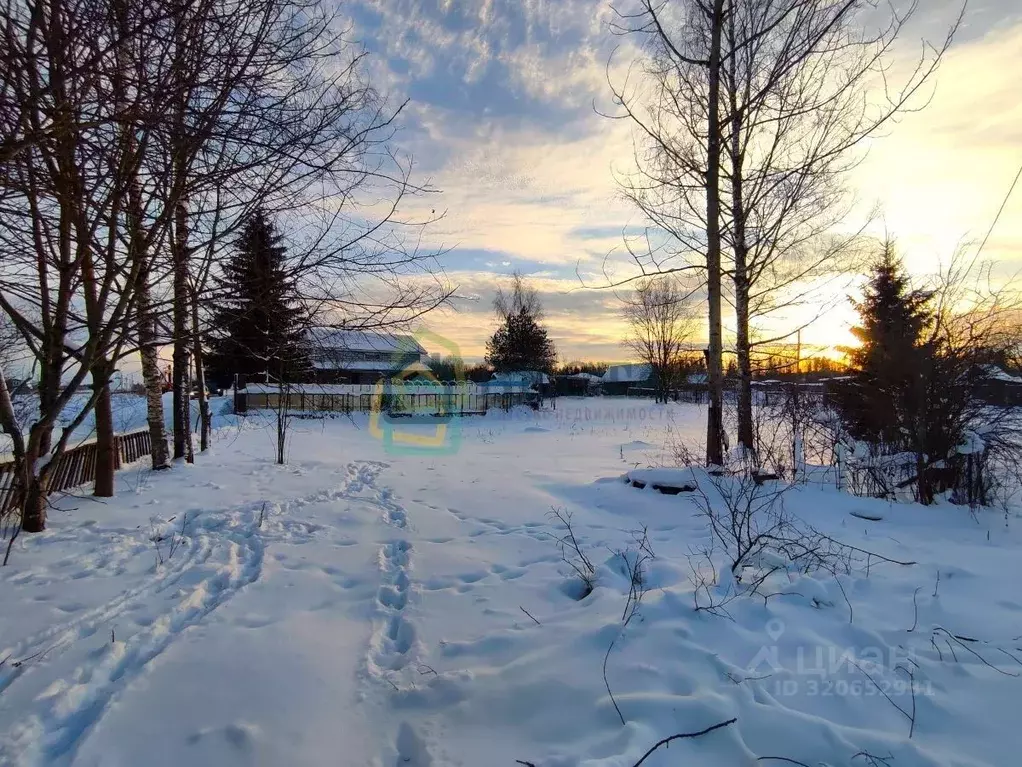 Участок в Ленинградская область, Гатчинский муниципальный округ, д. ... - Фото 1