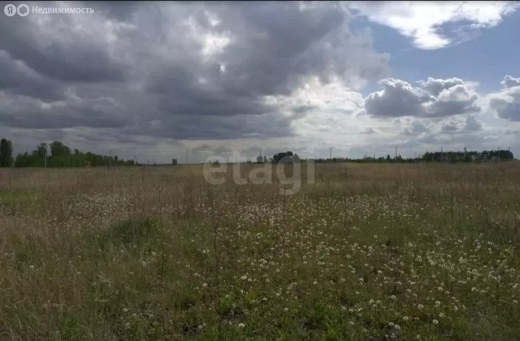 Участок в Поспеловское сельское поселение, посёлок Луговой (10 м) - Фото 0