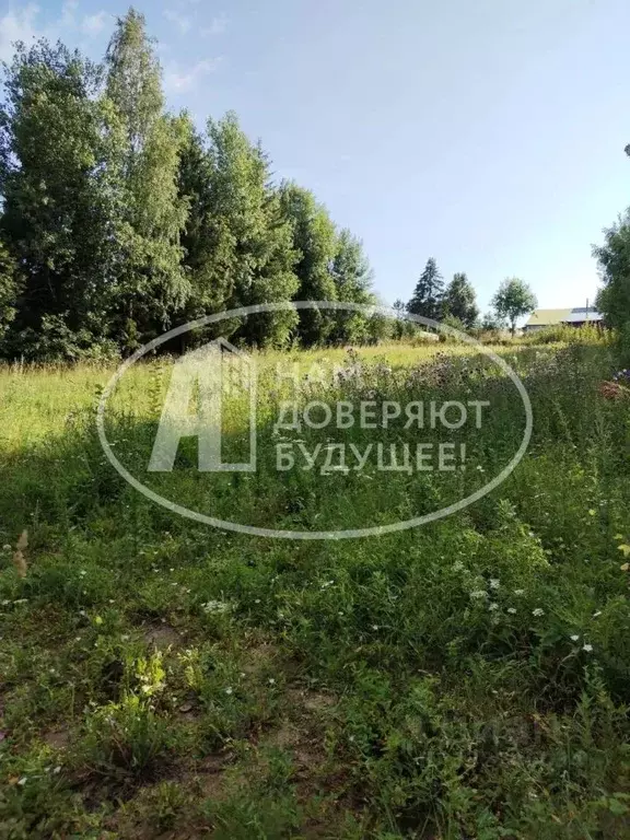 Участок в Пермский край, Добрянка ул. 50 лет Октября, 69 (14.8 сот.) - Фото 1