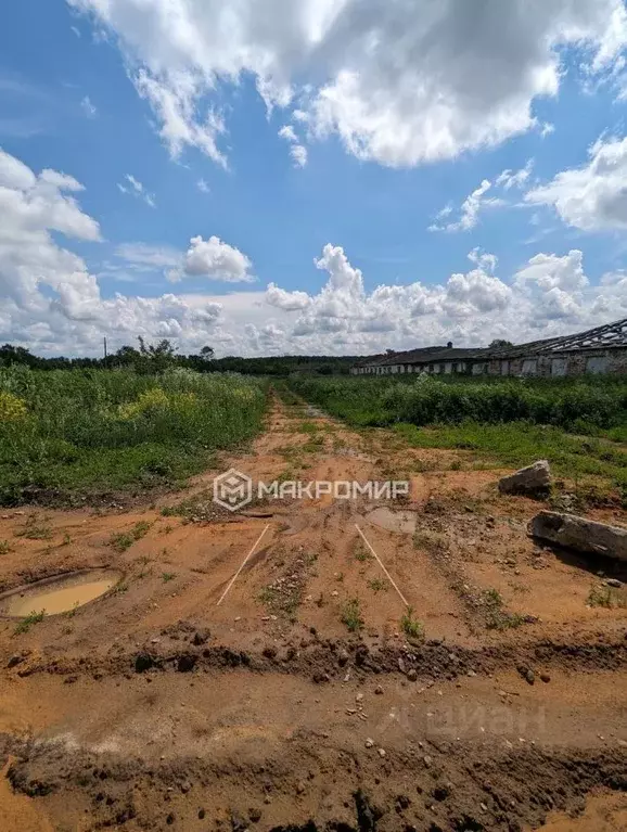 Производственное помещение в Орловская область, Мценский район, ... - Фото 1
