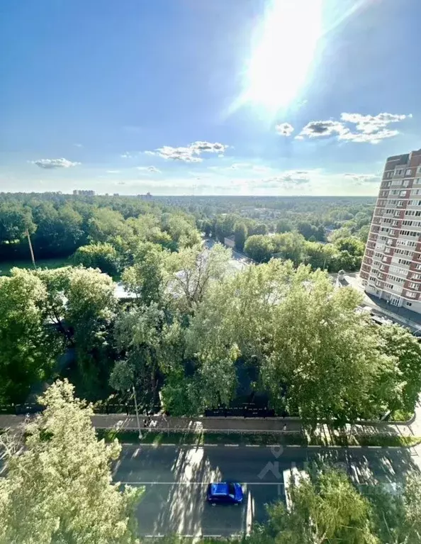 1-к кв. Московская область, Ногинск Богородский городской округ, ул. ... - Фото 1