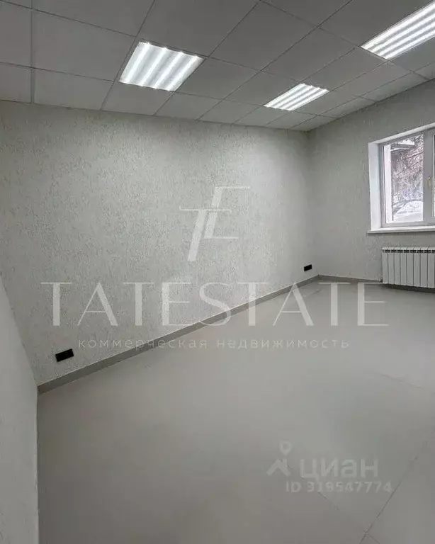 Помещение свободного назначения в Татарстан, Казань Чистопольская ул., ... - Фото 2