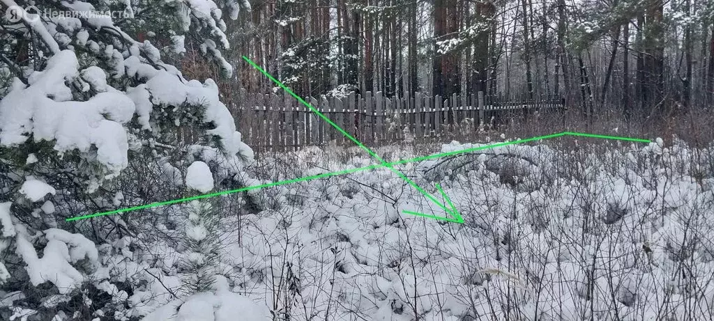 Участок в округ Муром, село Лазарево (10 м) - Фото 0