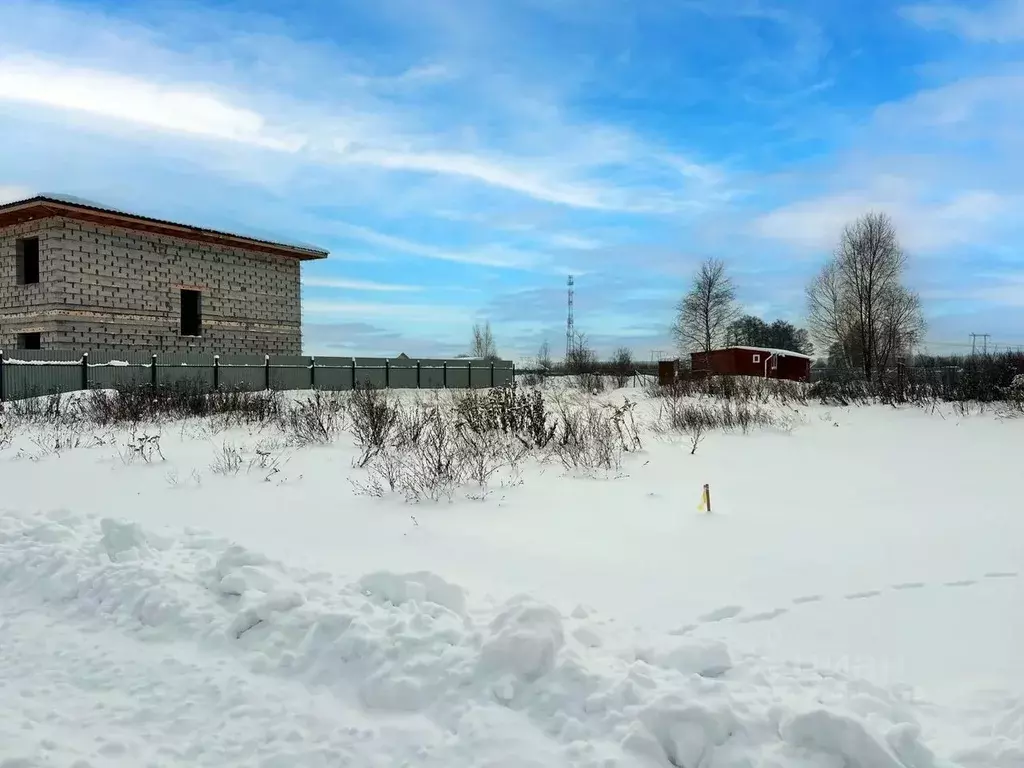 Участок в Московская область, Раменский муниципальный округ, Оттепель ... - Фото 2