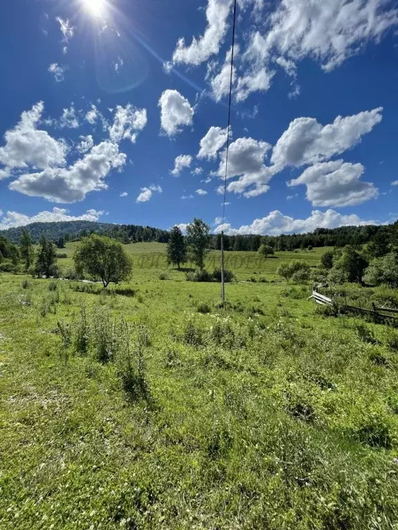 Производственное помещение в Алтай, Майминский район, с. Александровка ... - Фото 1