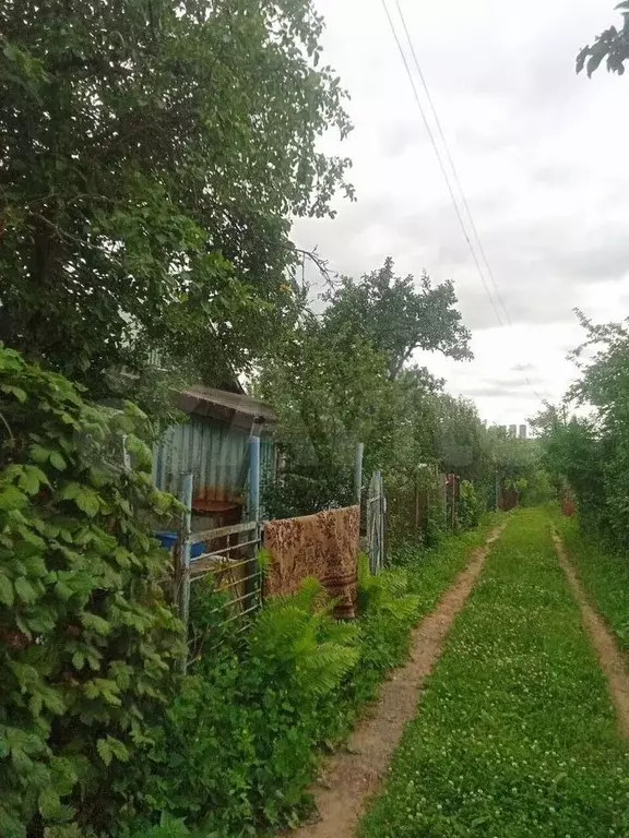 Дача 55 м на участке 5 сот. - Фото 1
