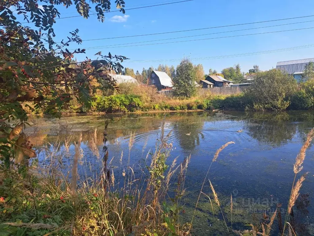 Участок в Московская область, Пушкинский городской округ, д. Матюшино, ... - Фото 1