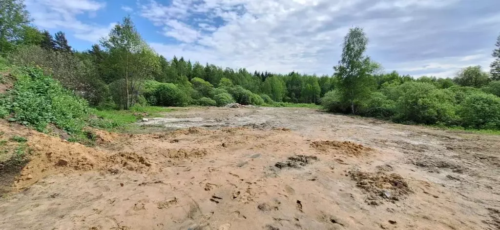 Участок в Московская область, Орехово-Зуевский городской округ, д. ... - Фото 1