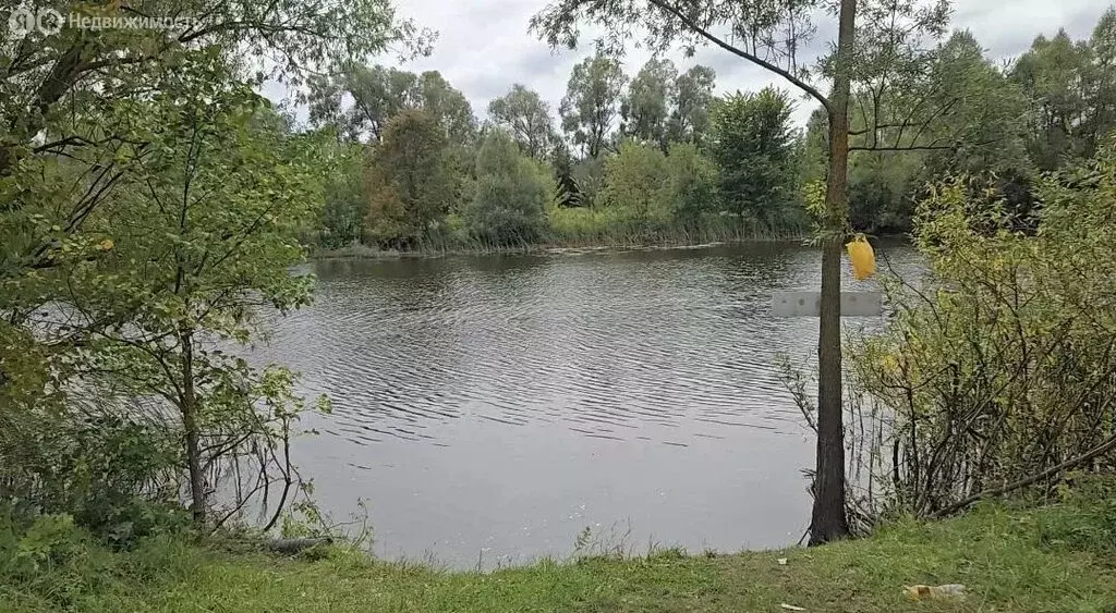 Участок в деревня Мари-Луговая, улица Охотина (3000 м) - Фото 2