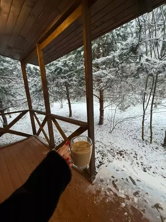 Дом в Псковская область, Пушкиногорье городское поселение, д. Авдоши  ... - Фото 2