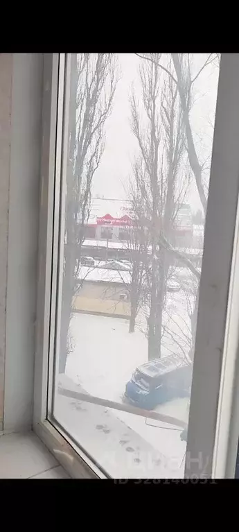 Комната Белгородская область, Белгород Степная ул., 4 (13.0 м) - Фото 1