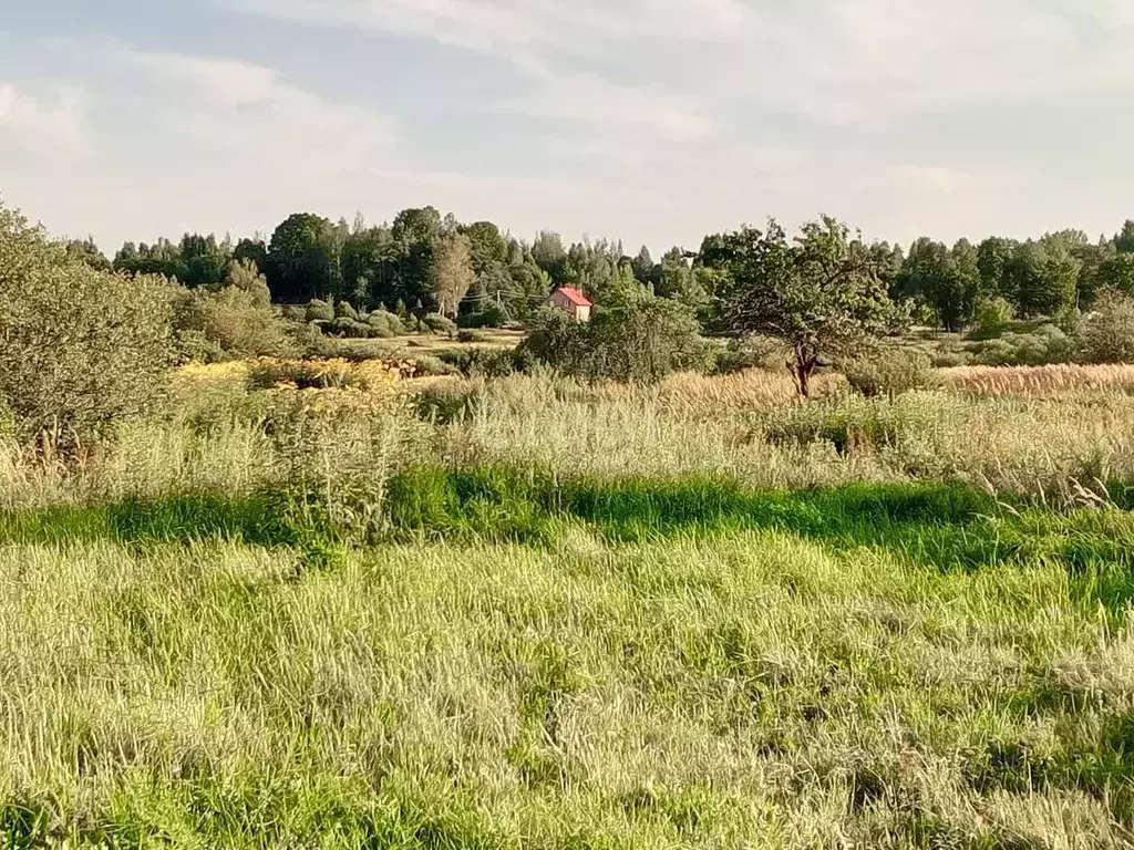 Участок в Псковская область, Островский район, Островская волость, д. ... - Фото 0