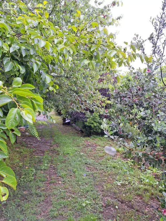 Участок в село Нижняя Шиловка, Светогорская улица (41 м) - Фото 1