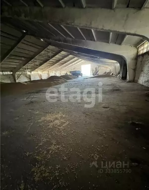 Склад в Тульская область, Алексин городской округ, д. Борисово  (1786 ... - Фото 1