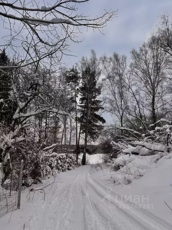 Участок в Московская область, Дмитровский муниципальный округ, д. ... - Фото 2