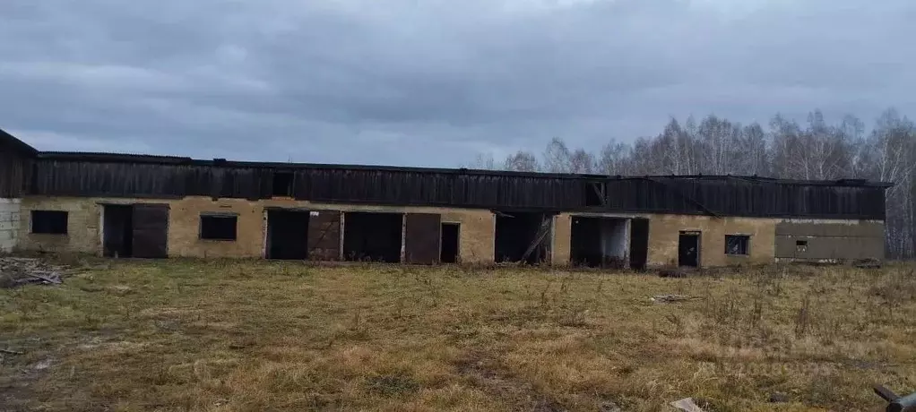 Помещение свободного назначения в Красноярский край, Большеулуйский ... - Фото 1