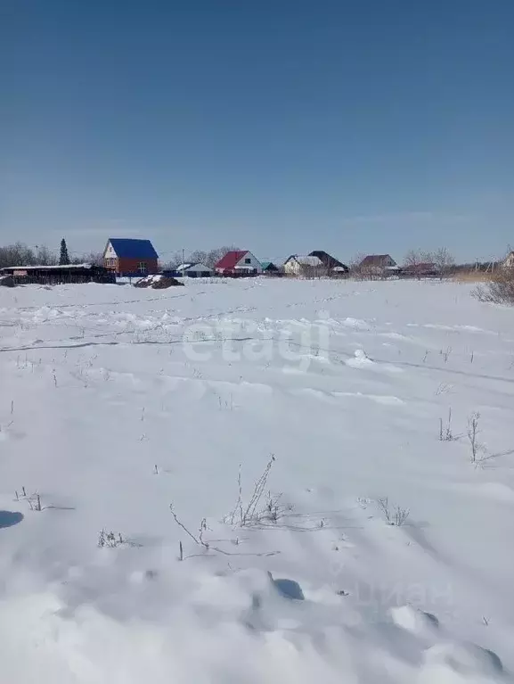 Участок в Алтайский край, Алтайский район, с. Старобелокуриха ул. ... - Фото 1