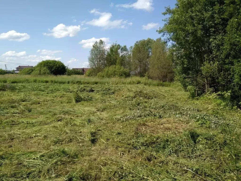 Участок в Ярославская область, Ярославский муниципальный округ, с. ... - Фото 2
