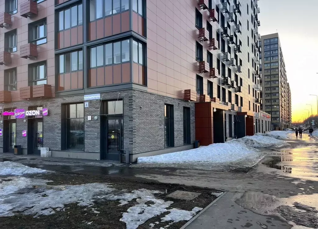 Помещение свободного назначения в Московская область, Пушкино ул. ... - Фото 2