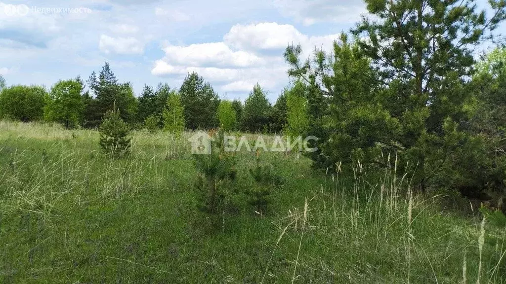 Участок в Нижегородская область, Сосновский муниципальный округ, ... - Фото 0