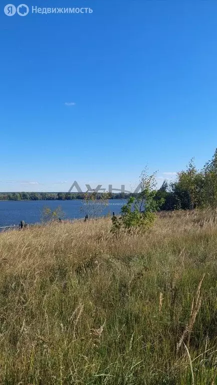 Участок в село Соколка, улица Королёва, 6 (24 м) - Фото 2