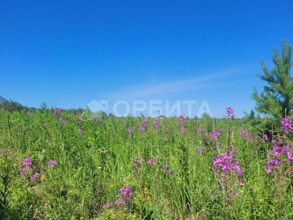 Участок в Тюменская область, Тюменский район, с. Кулига, Кулига-2 мкр  ... - Фото 0