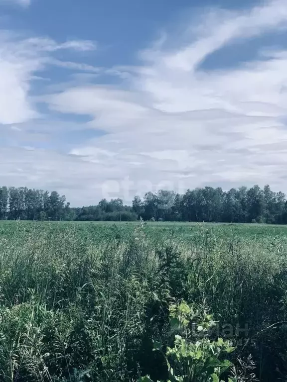 Участок в Свердловская область, Сысертский муниципальный округ, СНТ ... - Фото 1