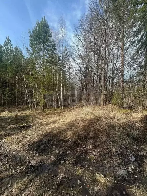 Участок в Свердловская область, Кировградский муниципальный округ, ... - Фото 1