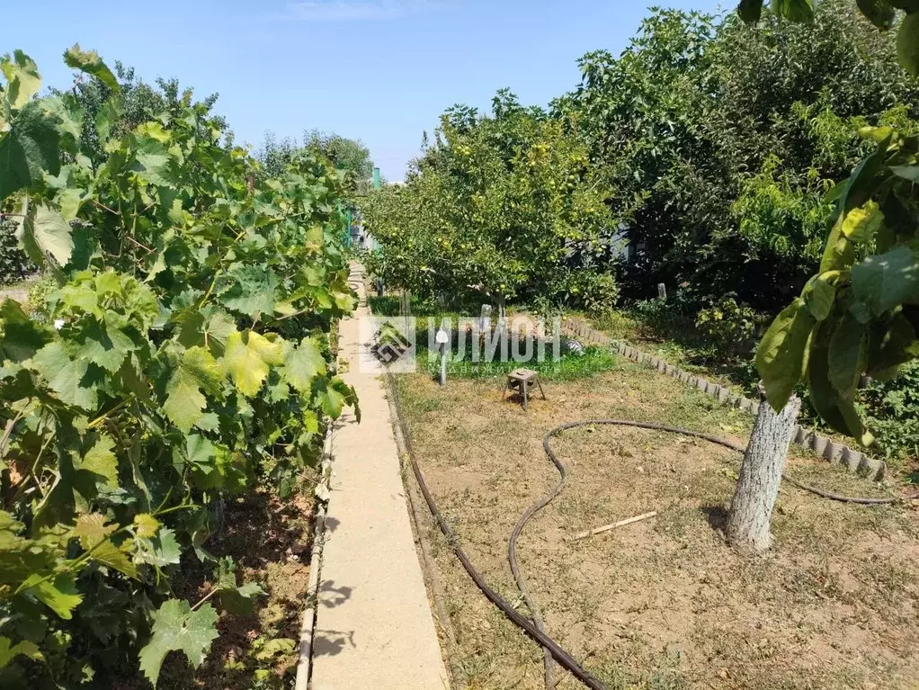 Дом в Севастополь Сосновый Бор садоводческое товарищество,  (68 м) - Фото 1