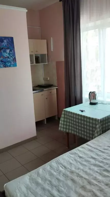 Студия Московская область, Видное Центральная ул., 72 (16.0 м) - Фото 1