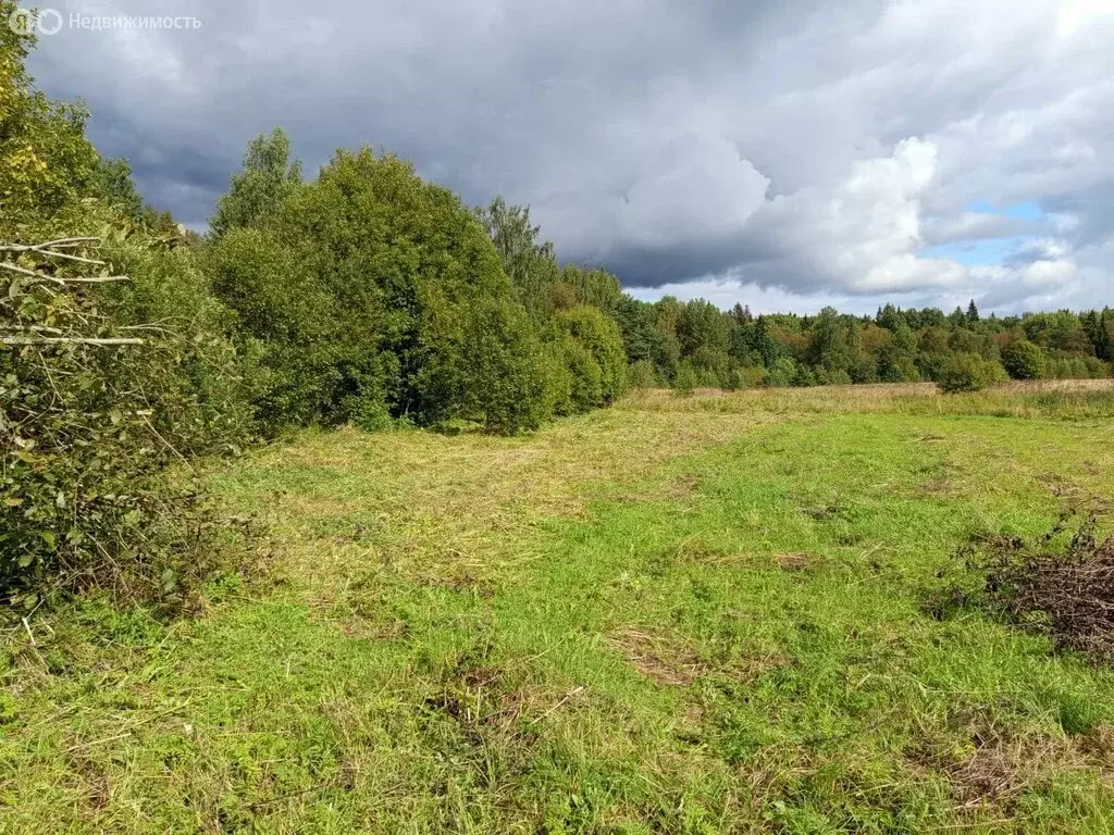Участок в Надино, Светлая улица (11 м) - Фото 0