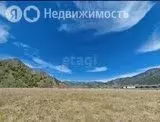 Участок в Усть-Коксинский район, село Усть-Кокса (417 м) - Фото 1
