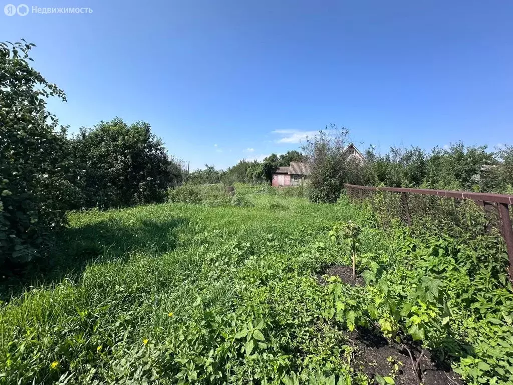 Участок в Чебаркуль, СНТ Учительский (6.61 м) - Фото 1