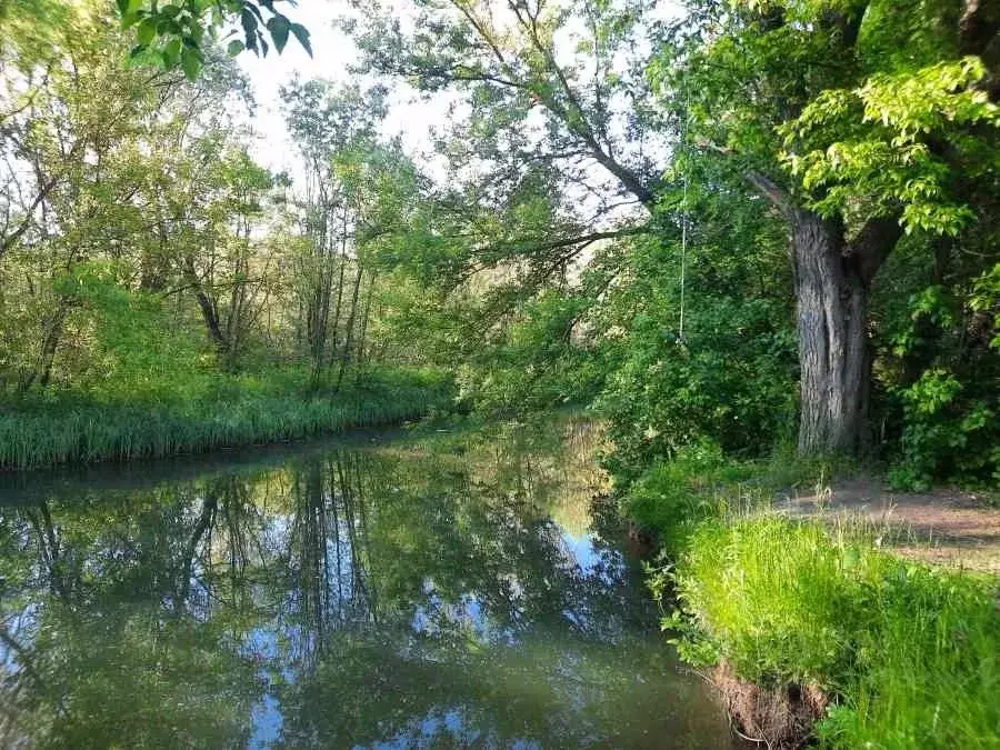 Дом в Воронежская область, Хохольский район, Гремяченское с/пос, Крона ... - Фото 0