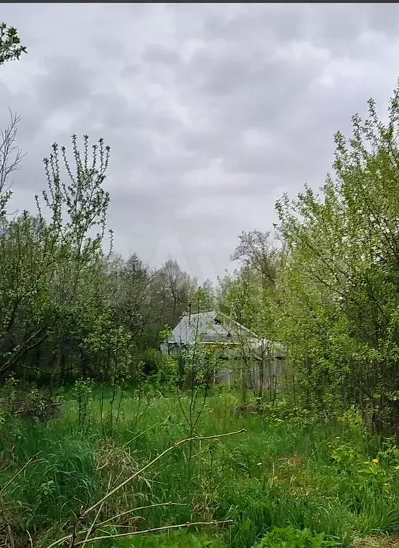 Участок 8 сот. (СНТ, ДНП) - Фото 1