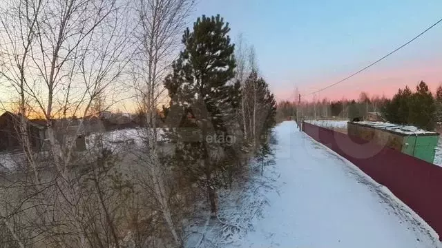 Участок 11,5 сот. (СНТ, ДНП) - Фото 1