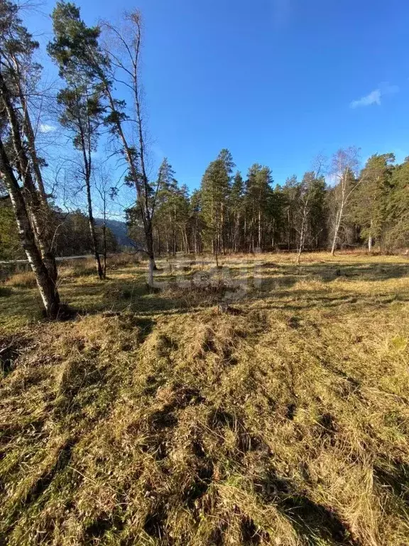Участок в Алтай, Чемальский район, с. Чепош Трактовая ул., 54 (12.0 ... - Фото 0