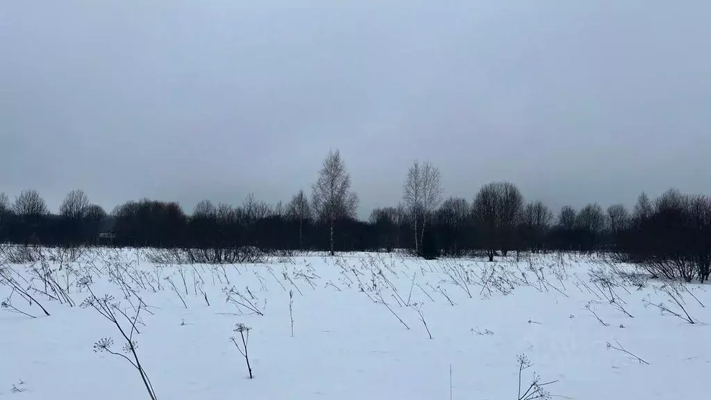 Участок в Московская область, Истра муниципальный округ, пос. ... - Фото 0