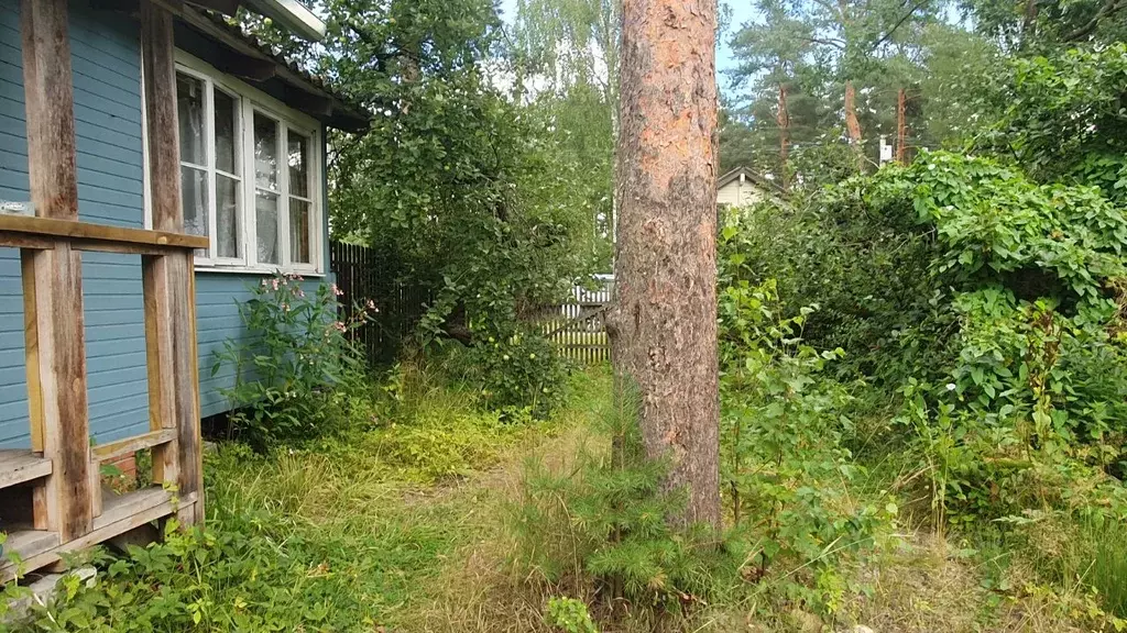 участок в ленинградская область, гатчинский район, вырица городской . - Фото 0