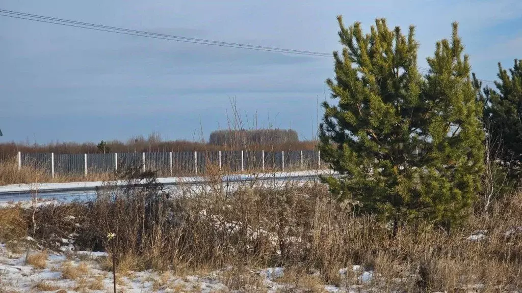 Участок в Тюменская область, Тюменский муниципальный округ, Веванта ... - Фото 2