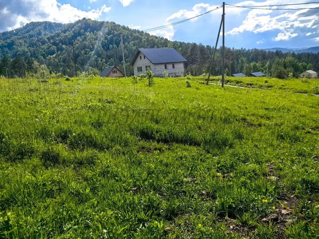 Участок в Алтай, Майминский район, Манжерокское с/пос, с. Озерное ул. ... - Фото 1