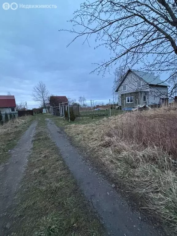 Участок в Калининградская область, Гурьевский муниципальный округ, СНТ ... - Фото 0
